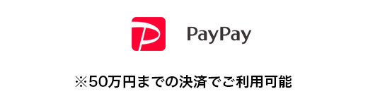 50万円までの決済で可能