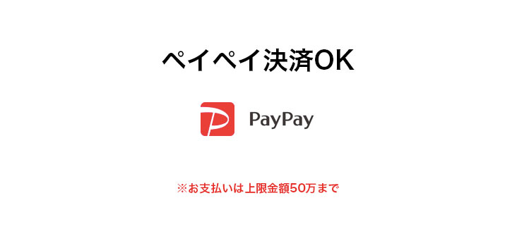 ペイペイ決済OK　※お支払いは上限金額50万まで