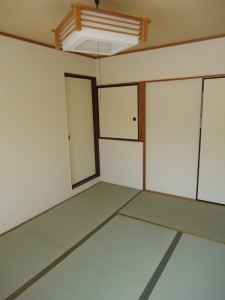 DSC01919