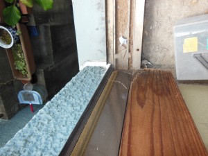 DSCN3929