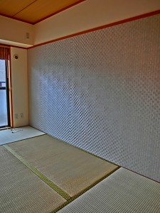 CIMG0741