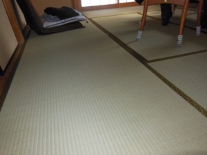 DSCN8171