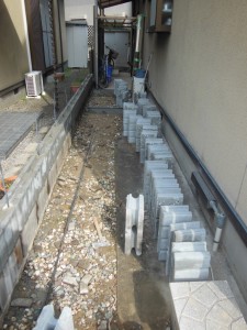 DSCN8898