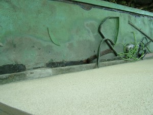 DSCF3797