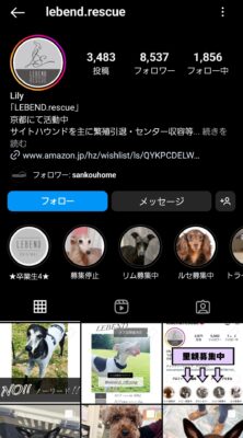 ペット保護犬猫譲渡会団体