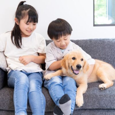 ペットがいる暮らし